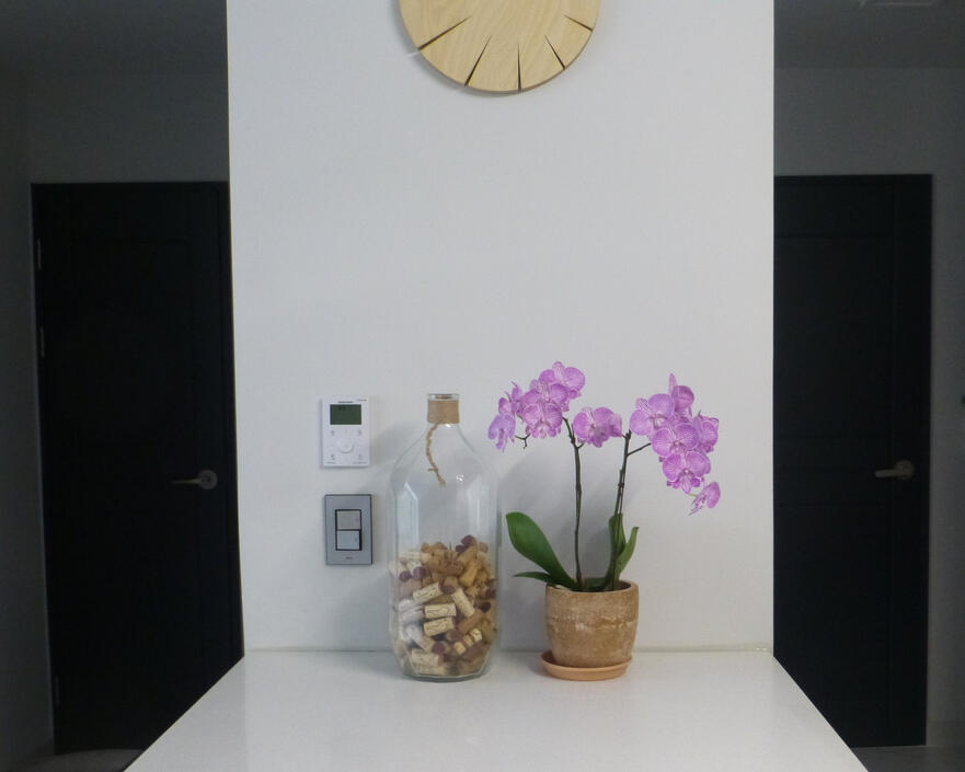 Started a collection of wine bottle corks