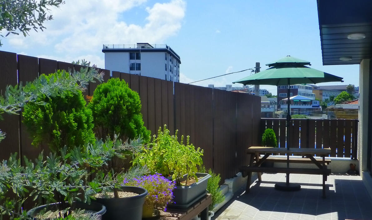 Eat and drink out on the terrace